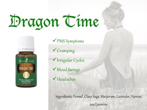 Dragon Time Blurb