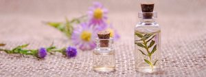 Read more about the article The Science Behind the Power of Essential Oils