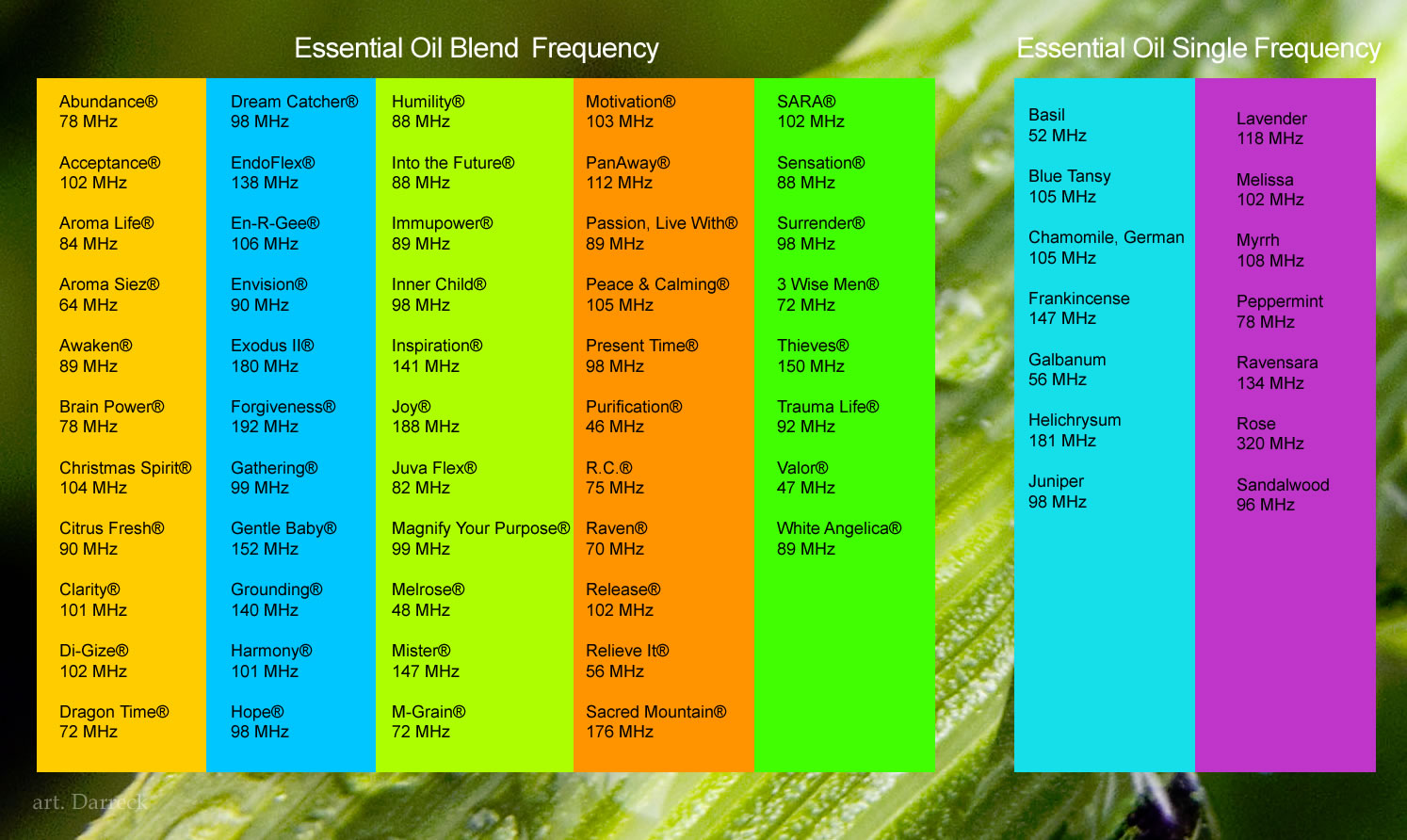 Body Frequency Chart