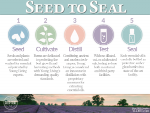 Seed to Seal - How it works!