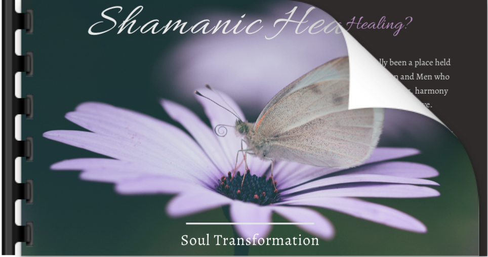 Shamanic Healing Video